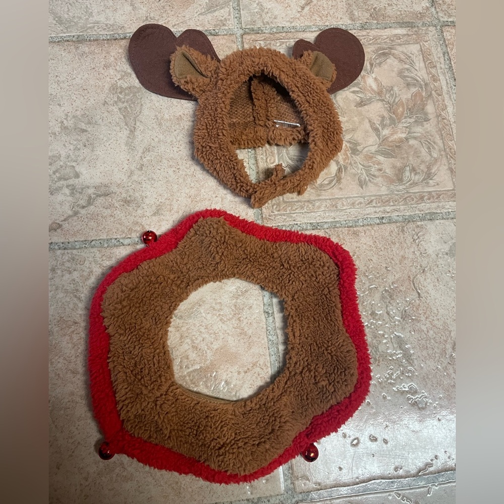 Dog reindeer costume